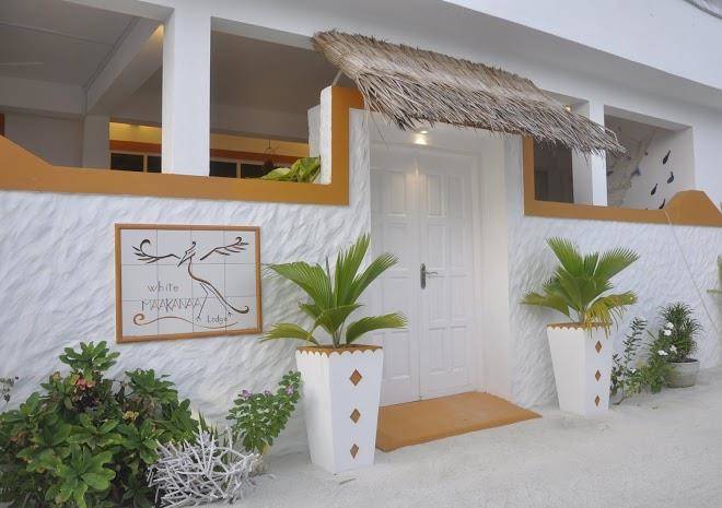 Into the blue lodge keyodhoo maldive