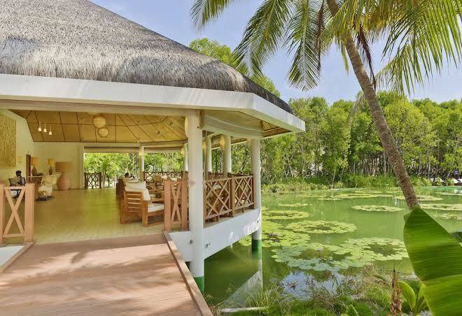 Dreamland maldives