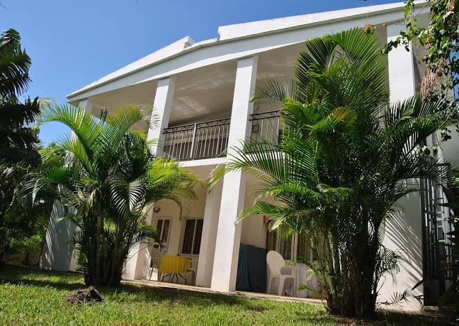 Le coin tropical