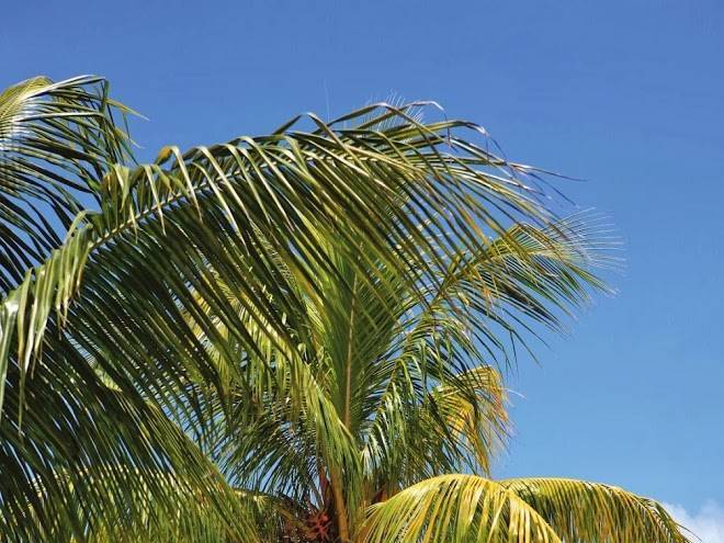 Merville beach hotel