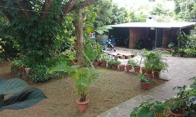 Le tropical chez jeanette