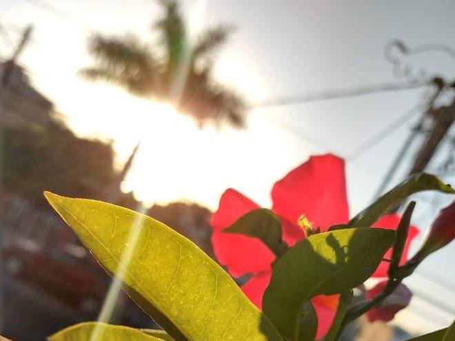 Baja paradise hotel boutique