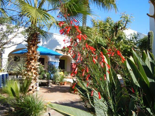 El angel azul hacienda