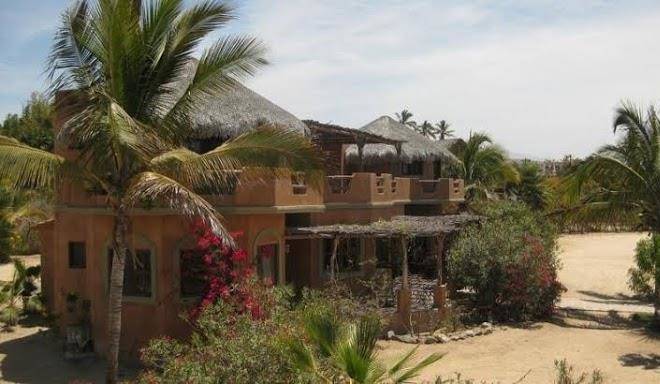 Flora del mar