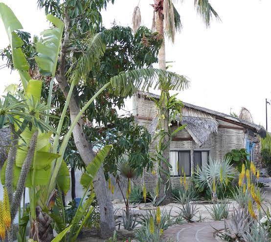 La bohemia baja hotel pequeno