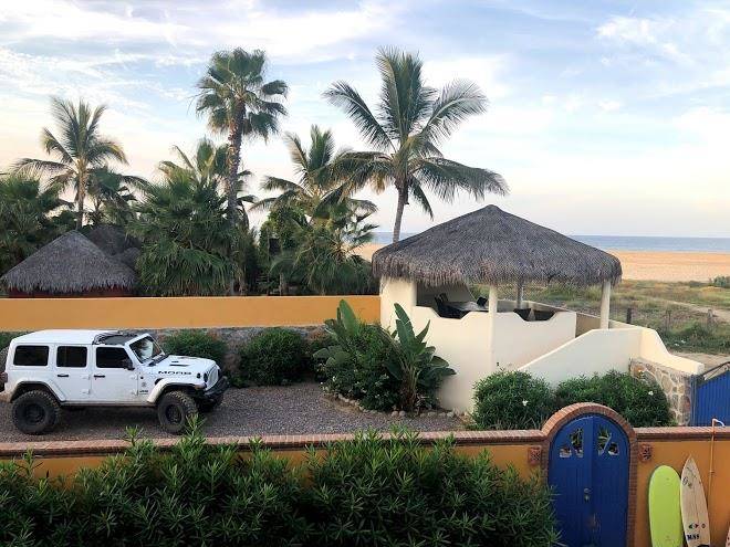 Las palmas tropicales