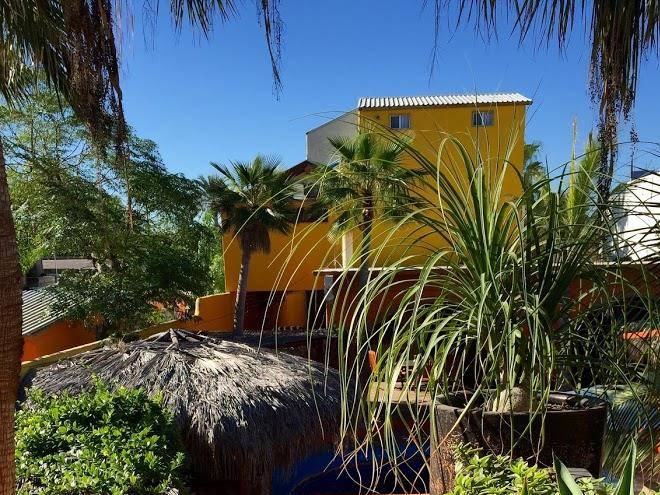 Leo's baja oasis
