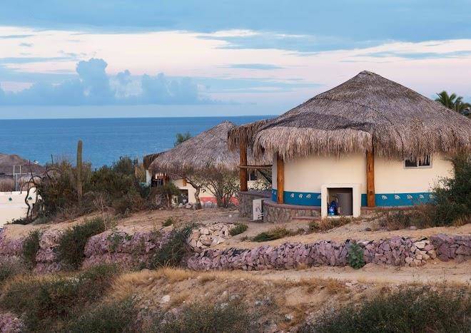 Palapas ventana
