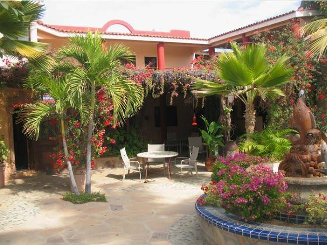 Hacienda de palmas