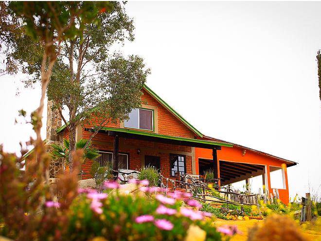 Accommodation in valle de guadalupe