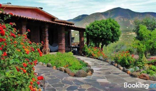 Quinta maria en la ruta del vino