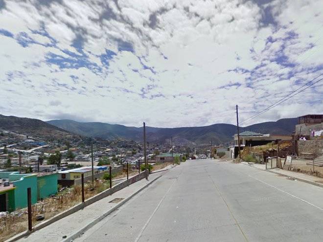 Rancho el gato