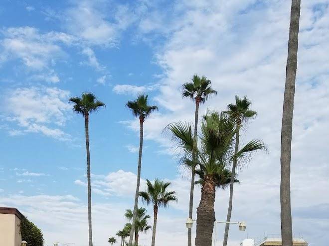 Hotel quintas del sol
