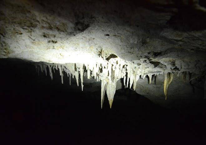 Turismo en las nubes chiapas ciudad de las rocas