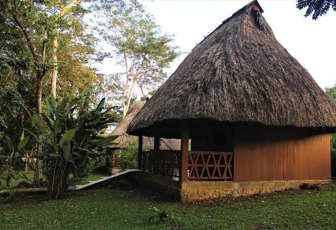 Hotel nueva alianza
