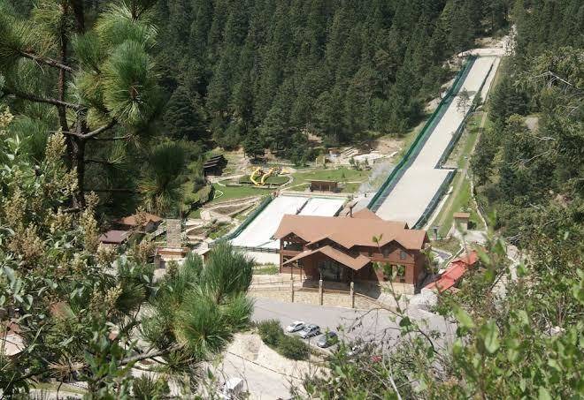 Bosques de monterreal