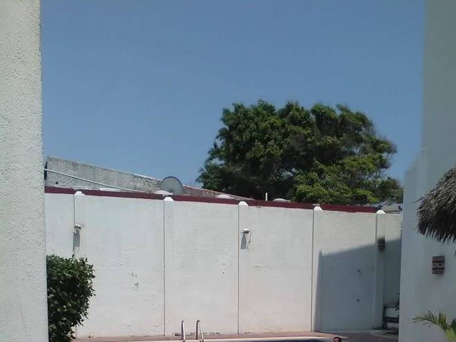 Hotel las gaviotas
