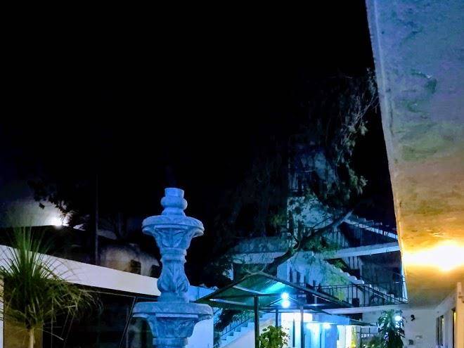 Hotel terraza jardin