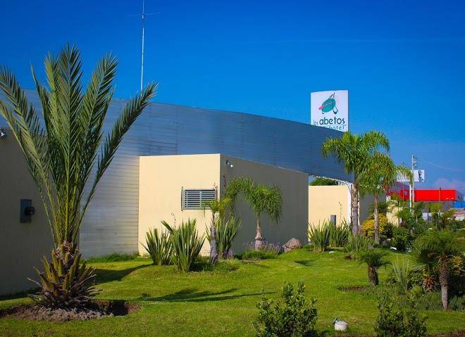 Hotel los abetos