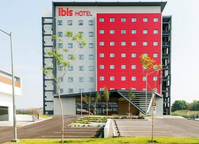 Ibis irapuato