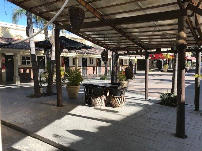 Hotel paseo palmas