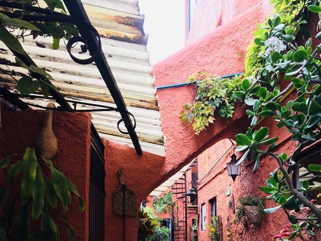 La mansion del bosque