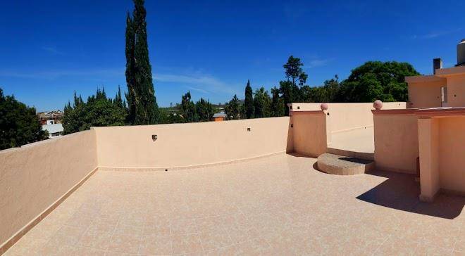 Meson amelia