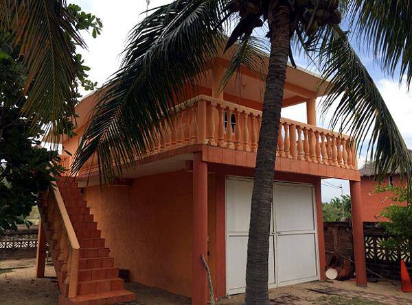 La tortuguita