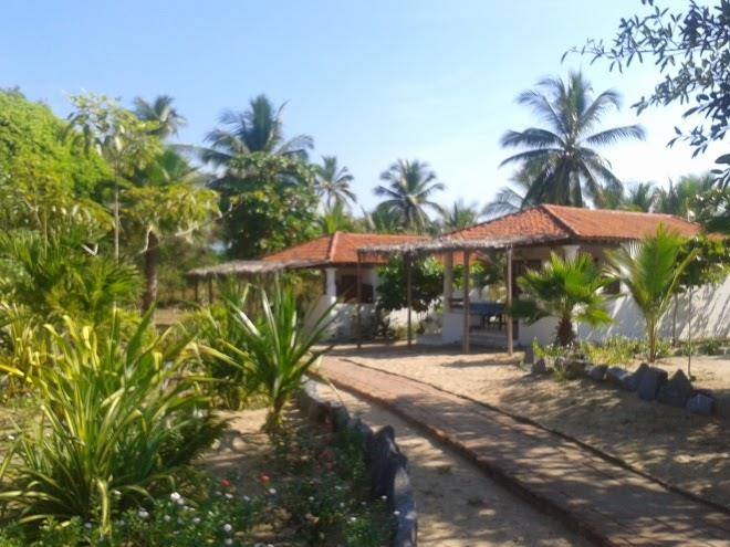 Bungalows sol dorado