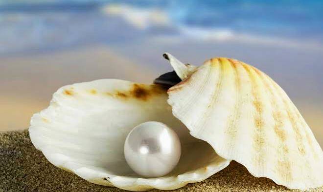 Hotel conchita del mar