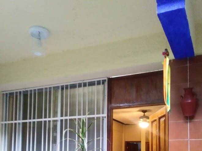Posada del palmar