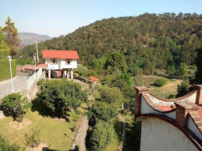 Hotel parador del bosque