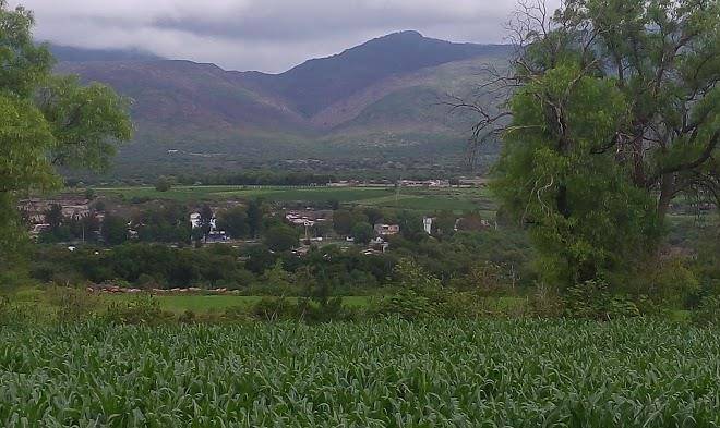 Hotel montalvo