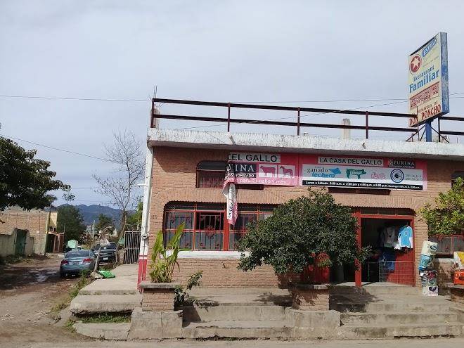 Hotel flores