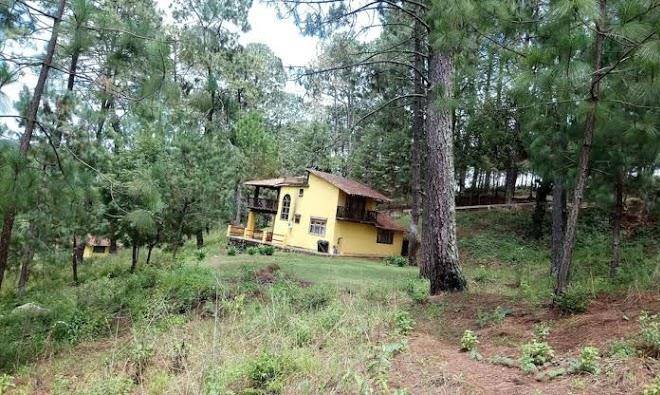 Cabanas el pinar