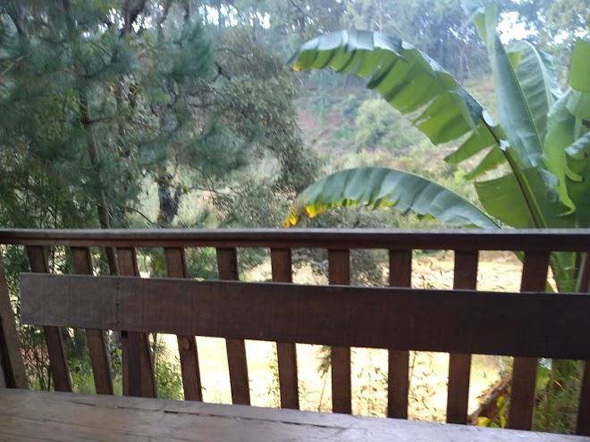 Habitaciones la higuera