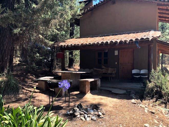 Cabana pino