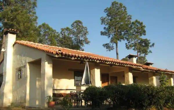 Cabanas del bosque