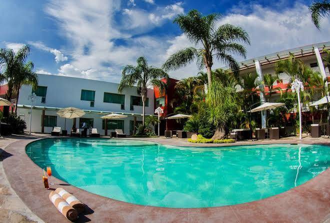Hotel v nova