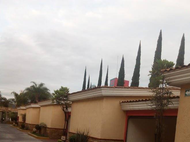 Motel primavera ejecutivo