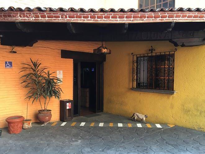 Hotel playa internacional