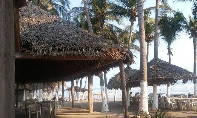 Hotel el palmar