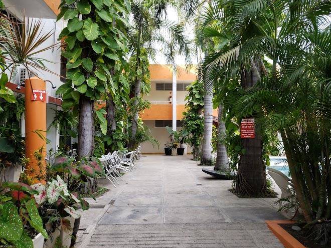 Hotel delfin playa azul