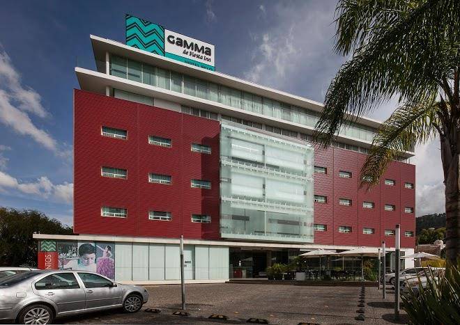 Gamma morelia belo