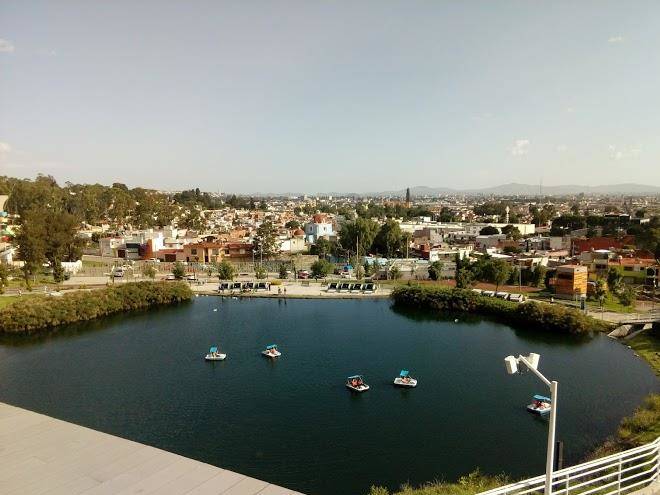 Hotel diana del bosque