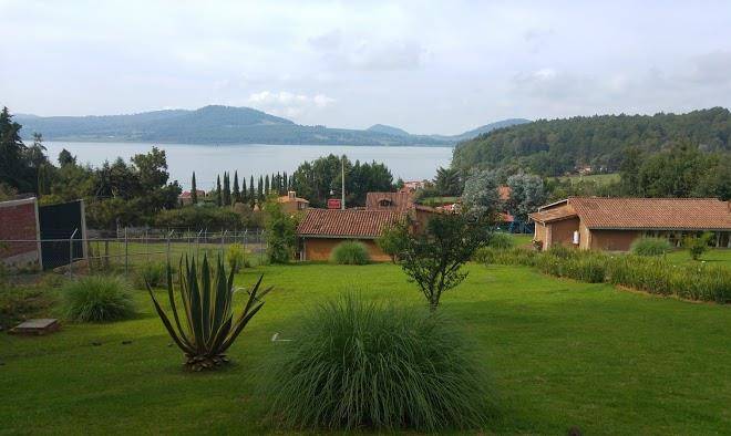Meson maracuya