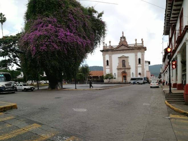 Nuevo hotel alameda de uruapan sa de cv