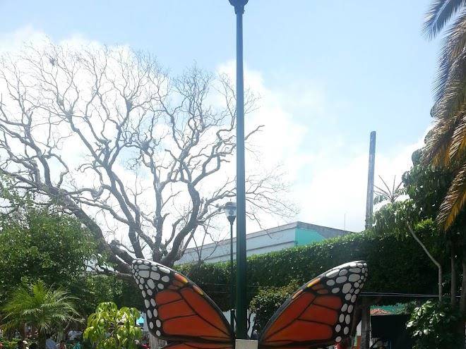 Hotel jardin del valle