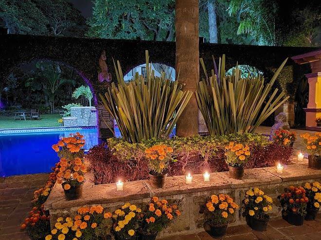 Hotel la joyita cuernavaca