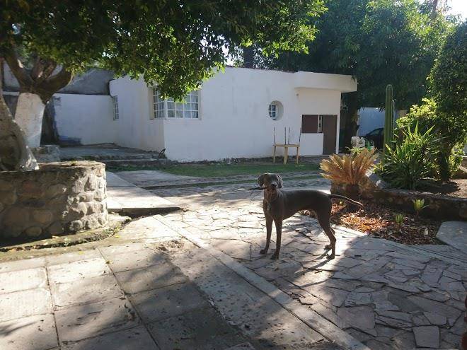 Hotel miacatlan